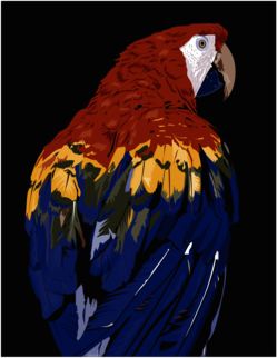 parrot 2