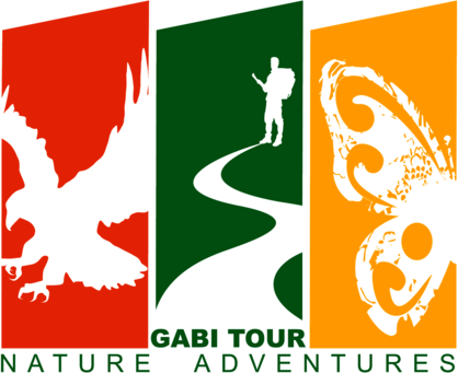 Gabi Tour