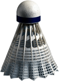 Badminton Birdie Top
