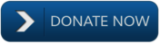 Donate Now Button