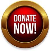 Donate Now Gold and Red Button