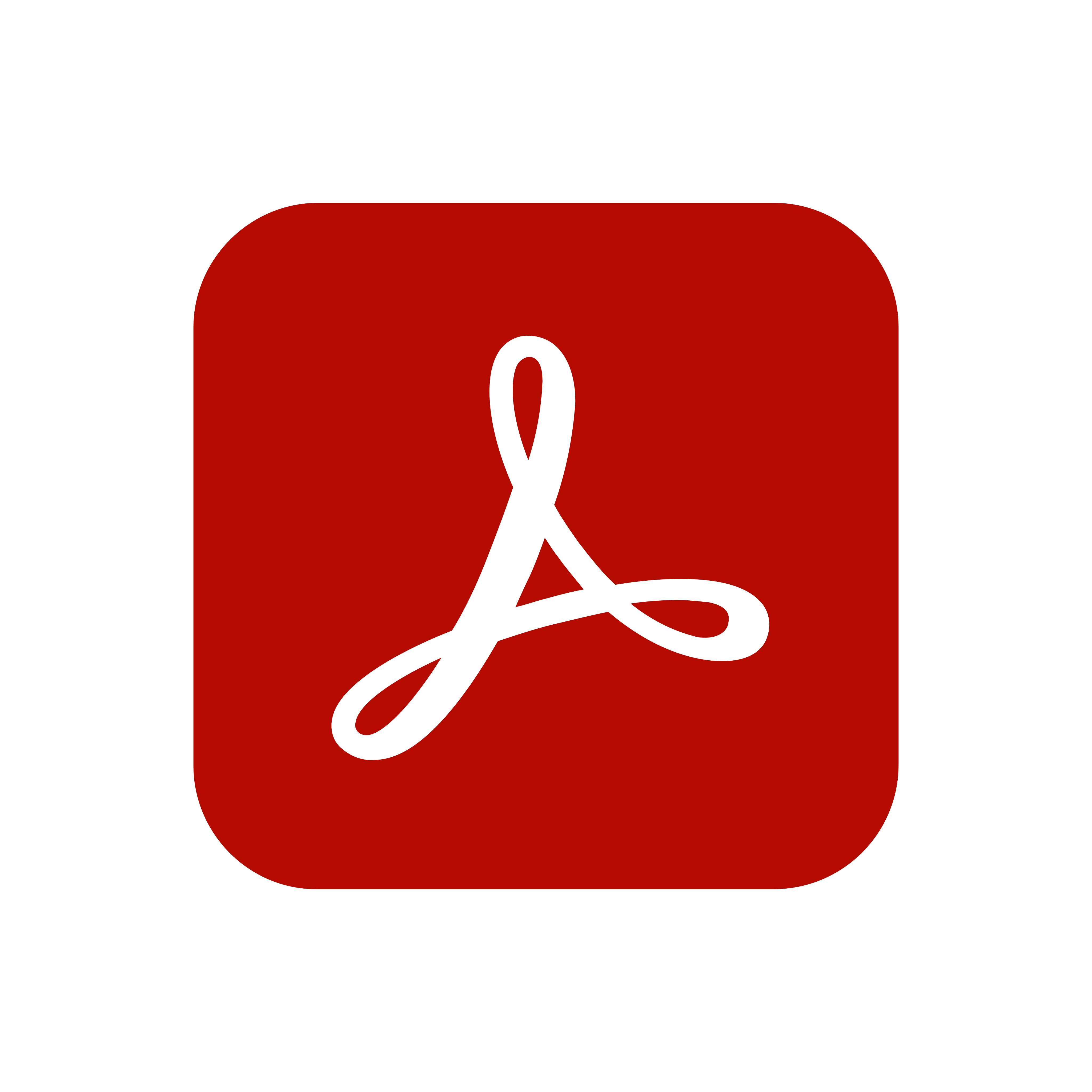 Adobe Acrobat Reader