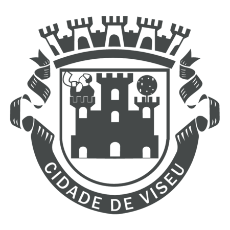 Camara Municipal de Viseu