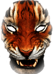 Simple Tiger Mask