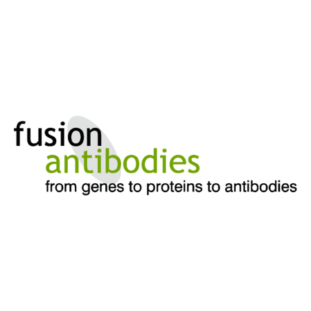 Fusion Antibodies