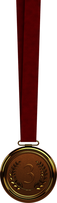 Bronze Medal Third