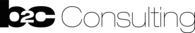 B2C Consulting