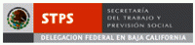 MPPPST Proceso Social de Trabajo