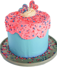 Gender Reveal Cake Sprinkles