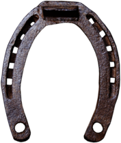 Rusty Horseshoe