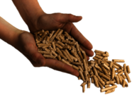 Hands Scooping Up Pellets