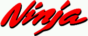 Ninja SEO