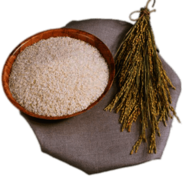 Rice Stalks and Bowl