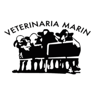 Veterinaria Marin