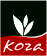 koza import-export