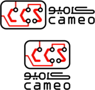 Cameo Computer Systems