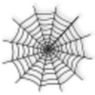Symmetrical Shaded Spider Web