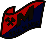Minerul Baia Mare