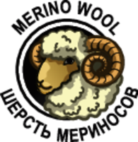 Merino Wool