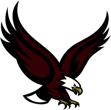 Boston College Eagles 76004