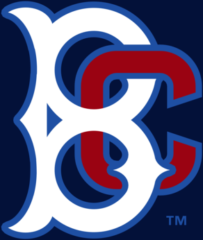 Brooklyn Cyclones 58687