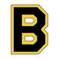Boston Bruins