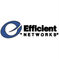 Efficient Networks