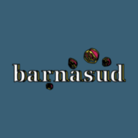 Barnasud