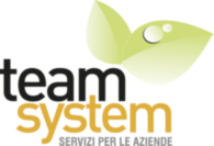 Team System servizi per le imprese