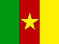 Flag of Cameroon