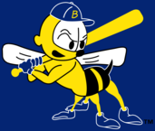 Burlington Bees