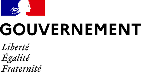 Gouvernement Français
