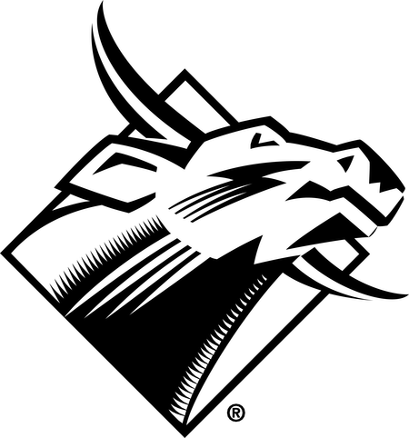 USF Bulls