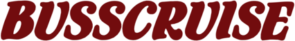 Busscruise 40193