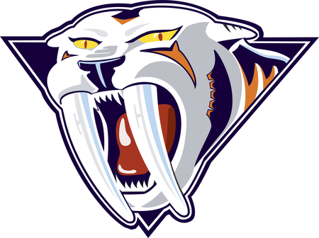 Nashville Predators 5