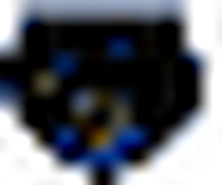 North Georgia Nighthawks