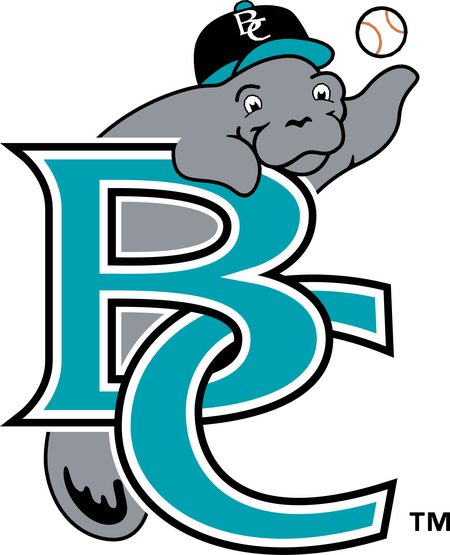 Brevard County Manatees