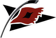Carolina Hurricanes