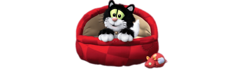 Jess the Cat In His Cat Bed