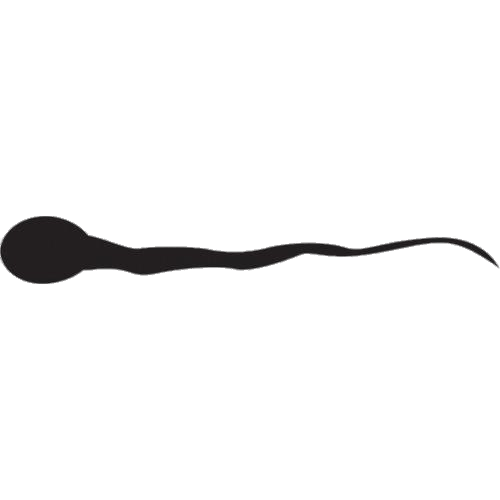 Tadpole Silhouette