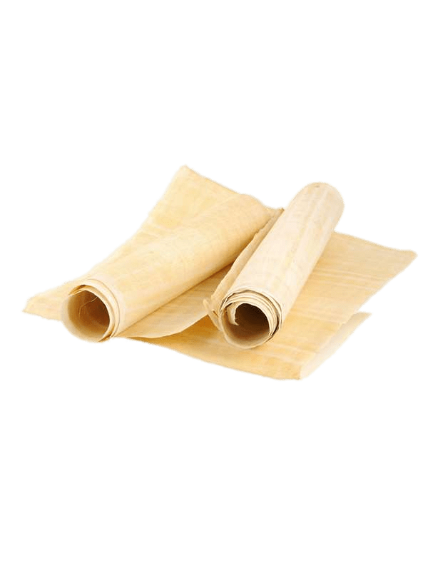 Papyrus Rolls