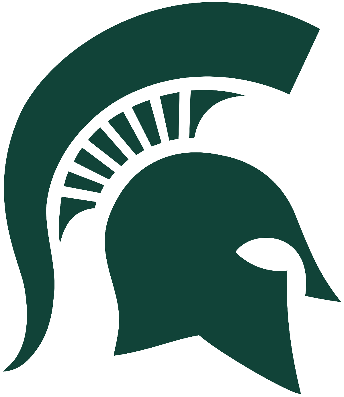 MSU Helmet