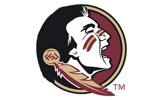 Florida State University Thumbnail
