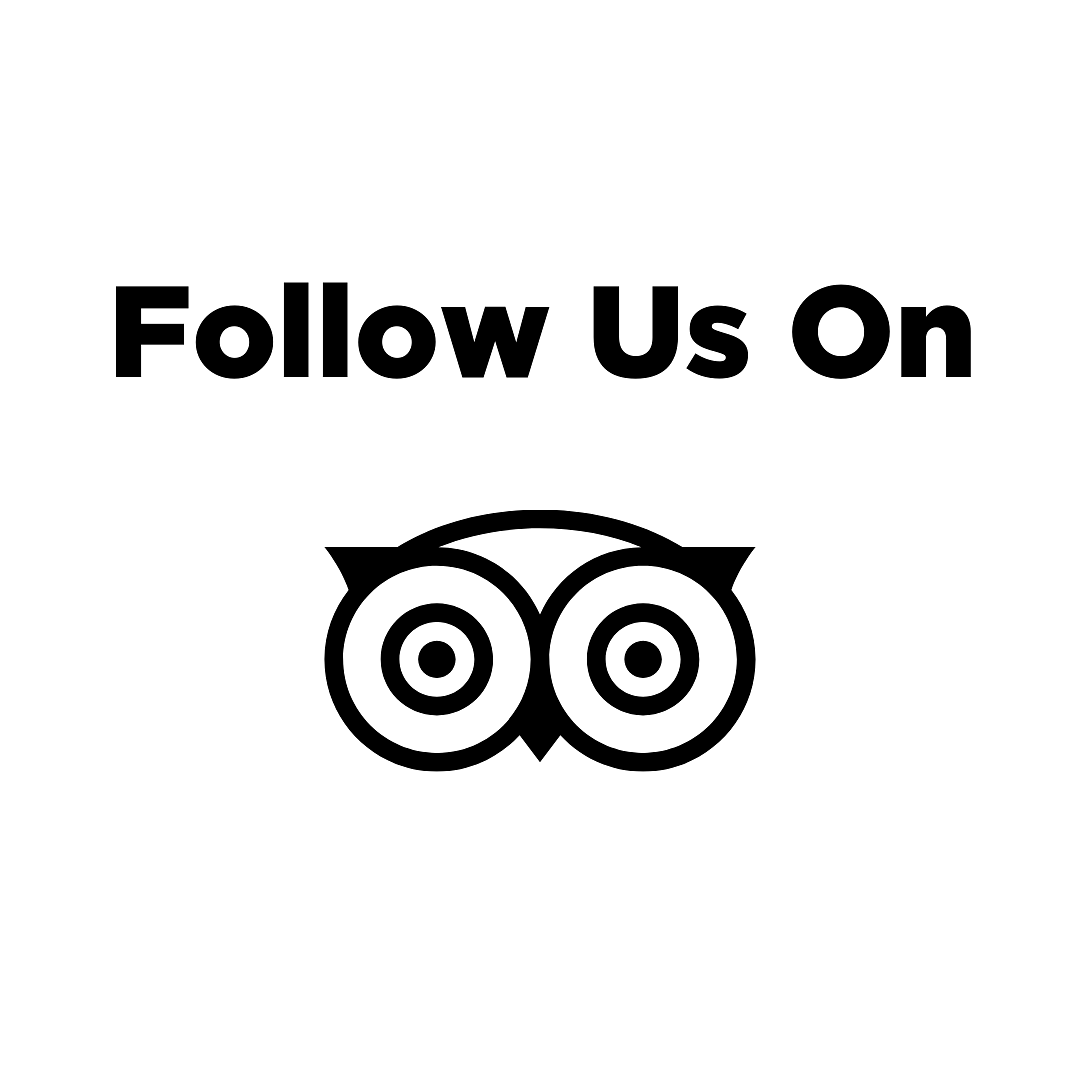 Follow Us On TripAdvisor