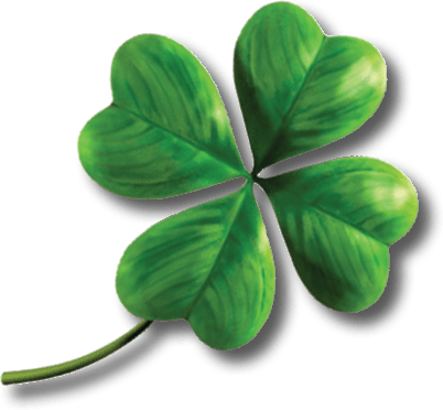 Shamrock Four