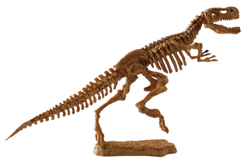 T-Rex Fossil