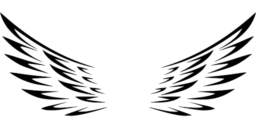 Abstract Image of Beautiful Wings