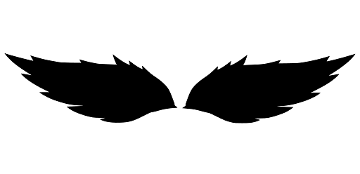 Silhouette of Perfectly Symmetrical Wings