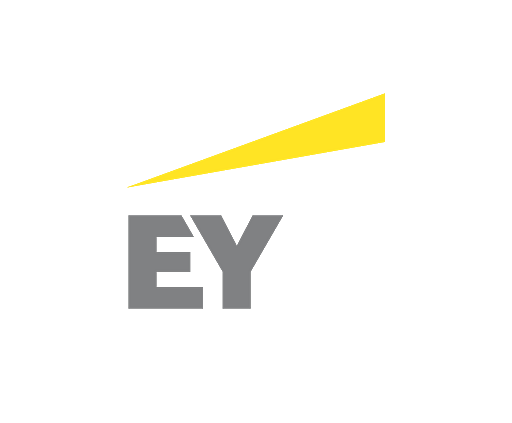 E&Y Ernst and Young grey 