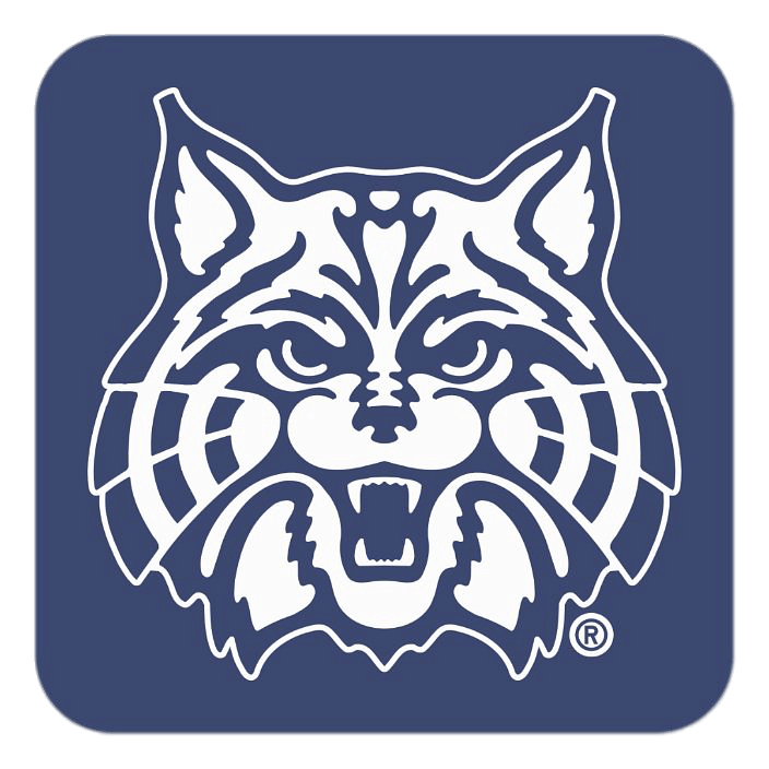 Arizona Wildcats thumbnail